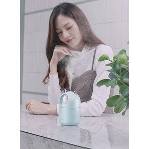 야옹이 가습기 애완 고양이 300ml 대용량 미니가습기 USB 가습기 무드등 필터 5개포함 KC인증 대량구매, 민트