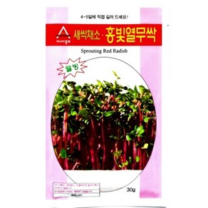 아시아종묘 씨앗 새싹 홍빛열무싹 30g, 1개