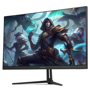 비트엠 Newsync BG322Q IPS 165 게이밍 모니터, 80cm, 일반