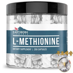 미국산 어스본 엘 메티오닌 800mg 200캡슐 아미노산 Eathbon Elements L Methionine 선물증정, 200정, 1개