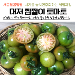 부산 고당도 대저토마토 짭짤이 2.5kg, {