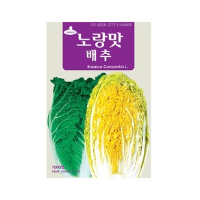 (CN) 노랑맛배추 씨앗 (1000립), 1개