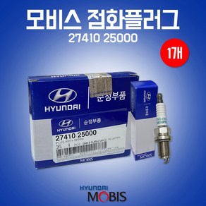 카박사/점화플러그/현대모비스순정부품/1개/27410 25000/2741025000/스파크플러스/이리듐플러그/TG그랜져/NF쏘나타/로체