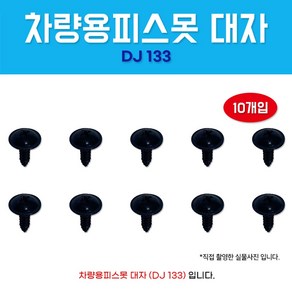 카박사/DJ-133/자동차보도/5X16/태핑나사/10개/대자/와샤붙이/피스/차량용피스못/검정피스못/자동차피스못, 10개