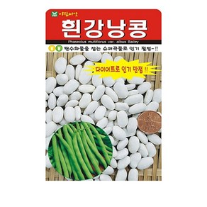 SN월드 씨앗 열매채소 과일채소 모음, 1개