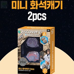 유레카픽 디스커버리 미니 화석캐기 2PCS 미니화석
