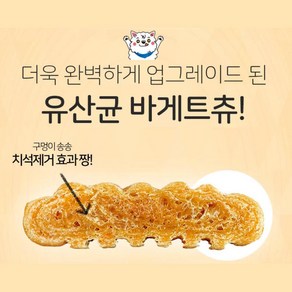 당뇨견 치석제거용 건강 츄간식 2봉 입냄새제거 질병예방 치아관리 반려견추천 덴탈츄