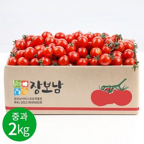 장보남 탱글한 대추방울토마토 실중량, 1박스, 2kg(중과)