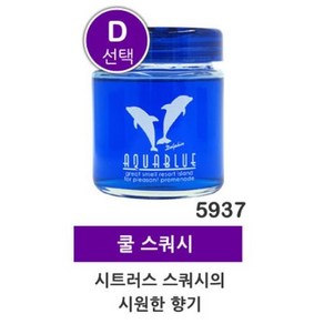 일본방향제 아쿠아블루 방향제 (D선택-시트러스 스쿼시의 시원한향 5937) 일본직수입 차량용방향제 실내용방향제 차량용방향제 실내용방향제, 1개, 1개