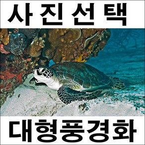 B034각종사진/사진선택/풍경화/호랑이사진/해돋이/일출/풍경사진/해바라기그림/인테리어사진, 비코팅