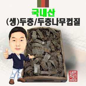 국내산 (생)두충 100g (경북 영천) 국산 두충나무껍질, 1개