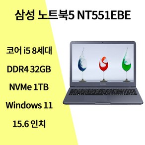 삼성전자 NT551EBE 15.6인치 FHD i5-8265U/32G/NVMe 1TB/윈11, 실버그레이, 1TB, 32GB, WIN11 Po