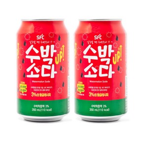 SFC바이오 수박소다 UP 탄산음료, 48개, 350ml