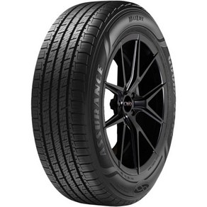 굿이어 225/55R18 98H GY AURCHANCE MAXLIFE VSB