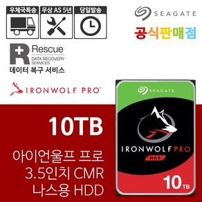 씨게이트 아이언울프 프로 HDD SATA3 7200RPM 256M 10TB ST10000NE000