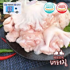 (배터짐) 국내산 손질 돼지 도래창, 5개, 1kg