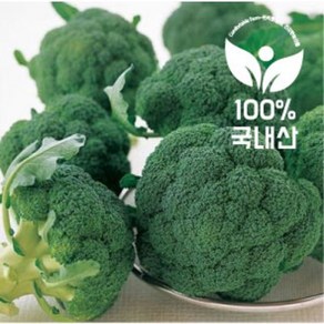 <컴팜>브로콜리/2kg/4kg/8kg, 4kg(8~16수), 1개