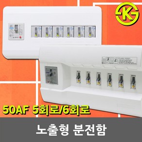 노출형 분전반 분전함 5회로 6회로 차단기함 배전함 배전반 완전조립형 누전차단기 배선차단기 5분기 6분기 30AF 50AF 차단기박스 차단기 국산 전기 차단기포함 3회로 4회로, 01. 서울산전 노출형 분전함 5회로, 1개