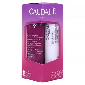 CAUDALIE 프랑스 정품 꼬달리 비뉴 핸드크림 30ml + 립밤 4.5g 세트, 1개