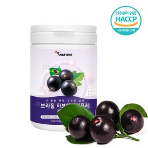 자보티카바 퓨레 원액 분말 식약청 HACCP 인증 브라질산, 1개, 120g