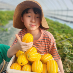 [초록이네] 고당도 성주 참외 꿀참외, 1박스, 2kg(꼬마용)