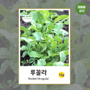 루꼴라 씨앗 12g 허브씨앗 루콜라 채소씨앗 루꼴라키우기, 1개