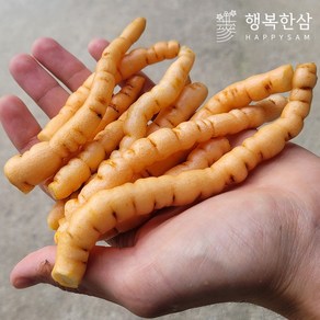 국산 무료 세척 햇 생지황 산지배송, 1개, 1kg