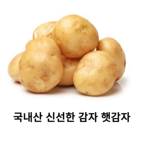 국내산 신선한 감자 1kg 5kg 10kg 20kg 국산 햇감자 영양감자 프리미엄 최상급 감자 산지직송