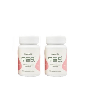 [공식] 무궁핏, 2박스, 45정