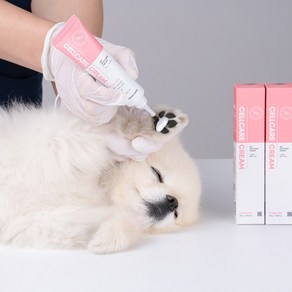 두카메디 셀케어 크림 강아지 고양이 바이오 엑소좀 보습 습진 발크림 발연고 발밤, 30g, 1개