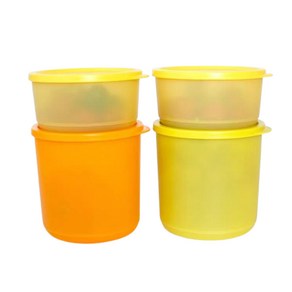 타파웨어 Tupperware 타파웨어 싱싱블록 냉동용기 4 종 세트1.1L x 2p+530mL x 2p