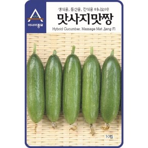 [NEW/최신종묘][BEST/발아율90%이상] 오이씨앗종자 맛사지맛짱오이(10립 10립x3 500립), 1개