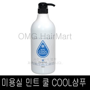 라샘 크리스챤 댄디 쿨 샴푸 1000ml /(소량구매구성) 멘톨 시원함 쿨샴푸 정품, 1L, 1개