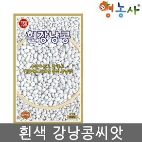 KS 흰강낭콩 씨앗 100립, 1개