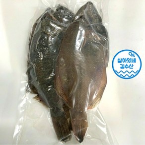 손질 봄도다리 1.2kg 산지직송 최상급 자연산 봄 도다리, 1개, 작업후 620~650g 내외, 도다리 단품 (중사이즈, 4-6미)