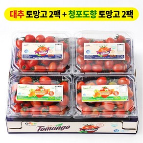 [장보남] 스테비아 토마토 혼합세트 대추토마토+청포도향 토마토, 1박스, 2kg(대추2팩+청포도2팩)