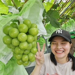 영동 김천 샤인머스켓 두송이 1kg 실속형