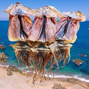 쫄쫄이 오징어 건오징어 안주 반건오징어 마른오징어 맥주안주 주전부리, 1개, 300g(6~10미)