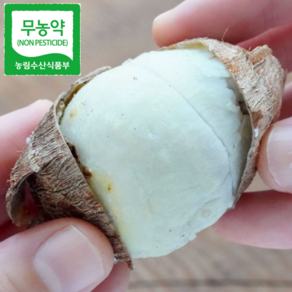 {산지직송] 무농약 곡성토란 햇토란 깐토란, 1박스, 생토란 3kg