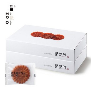 달방아 호박찹쌀약과 2박스, 40g, 40개