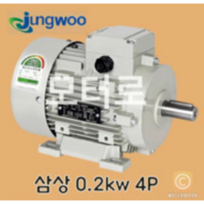 정우모터 0.2kw 4P 1/4마력 4극 220v/380v 50Hz /60Hz B3, 1개