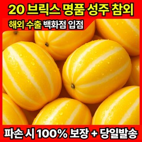 [백화점 납품 프리미엄] 바른마켓 20브릭스 고당도 성주 참외 2.5kg 농가직송 해외수출 당일발송, 1박스