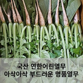 [신선택배배송] 국산 연한어린열무 명품열무 아삭아삭식감 부드러운줄기 여름반찬 열무김치 30cm미만, # 어린열무, 1개, 2kg