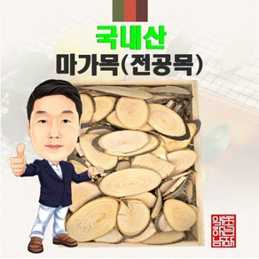 자연산 마가목(정공목) 100g 경북 영천) 국내산 국산, 1개