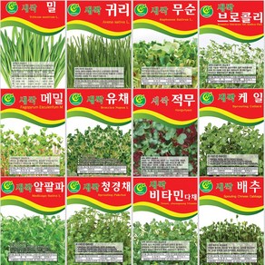 [씨앗모음] 대용량 새싹씨앗 500g 1kg, 14.새싹유채 1kg, 1개