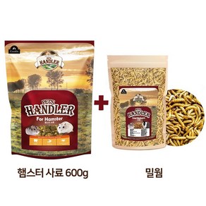 펫츠핸들러 햄스터 전용사료 600g+건조밀웜 10g, 600g, 1개