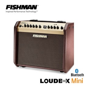 Fishman Loudbox Mini BT 피쉬맨 블루투스 기타앰프, 1개