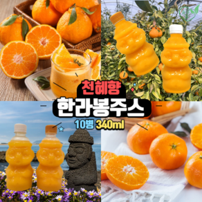 한라봉주스 제주천혜향주스 한라봉착즙, 천 혜향, 10개, 340ml