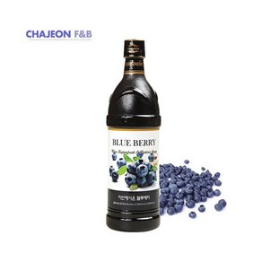 차전에프앤비 자연에서 온 블루베리 900mlx1개, 1개, 900ml