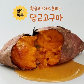 탐나는것들 꿀이 뚝뚝 황토밭 햇 황금고구마 당근고구마 산지직송, 1박스, 한입 1kg